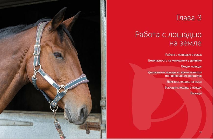 Британська кінна спільнота - "Стань настоящим конником. Пошаговое руководство. Том 1" 008 фото