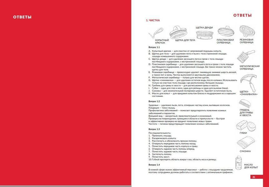Британська кінна спільнота - Робочий зошит до покрокового посібника. "Стань настоящим конником. Том 1" 009 фото
